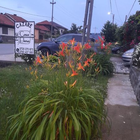 מלון Casa Elena Ieşelniţa מראה חיצוני תמונה