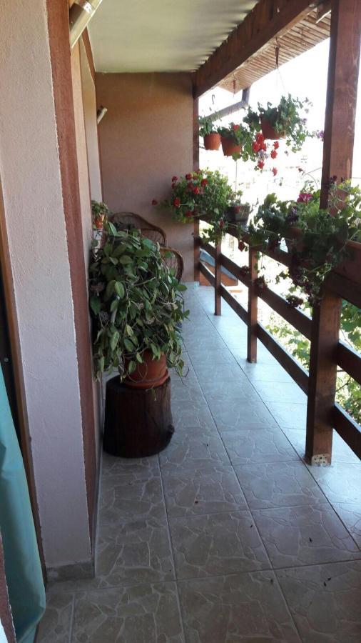 מלון Casa Elena Ieşelniţa מראה חיצוני תמונה