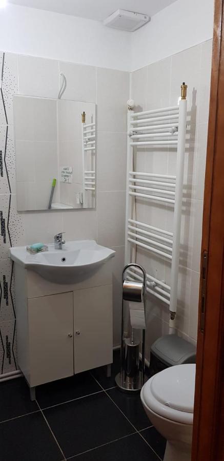 מלון Casa Elena Ieşelniţa מראה חיצוני תמונה