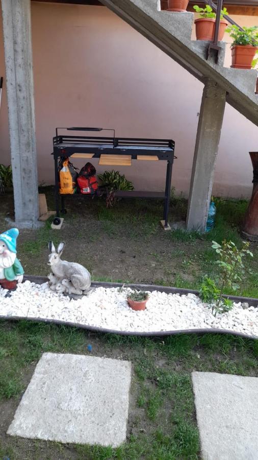 מלון Casa Elena Ieşelniţa מראה חיצוני תמונה