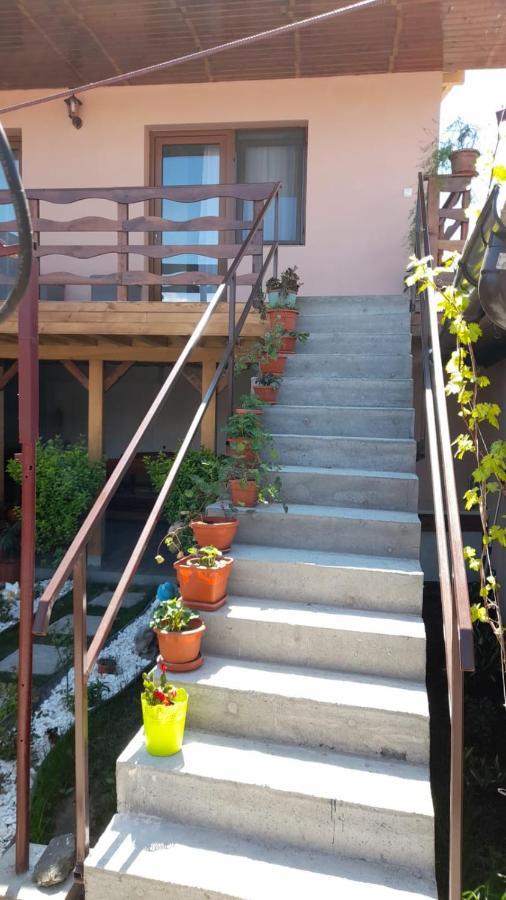 מלון Casa Elena Ieşelniţa מראה חיצוני תמונה