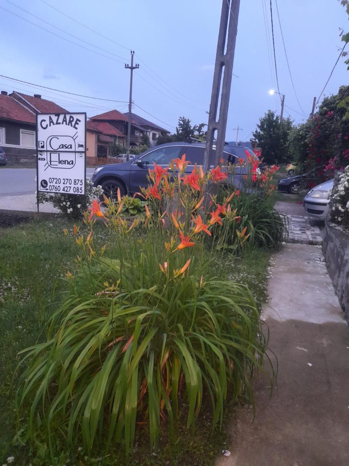 מלון Casa Elena Ieşelniţa מראה חיצוני תמונה