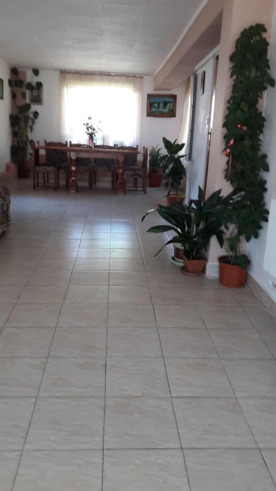 מלון Casa Elena Ieşelniţa מראה חיצוני תמונה