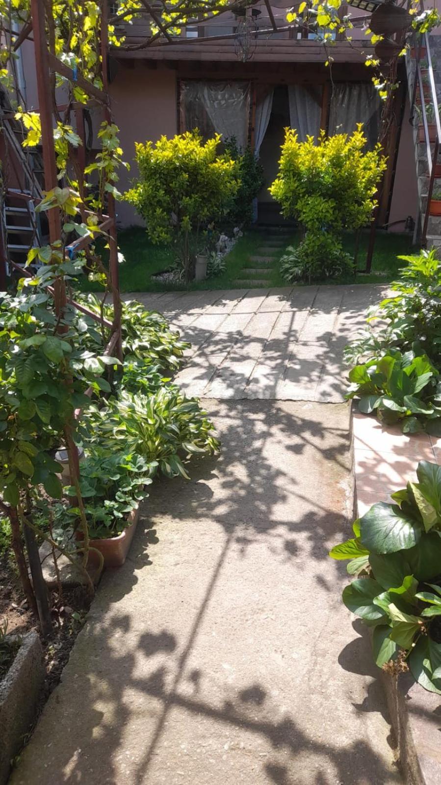 מלון Casa Elena Ieşelniţa מראה חיצוני תמונה