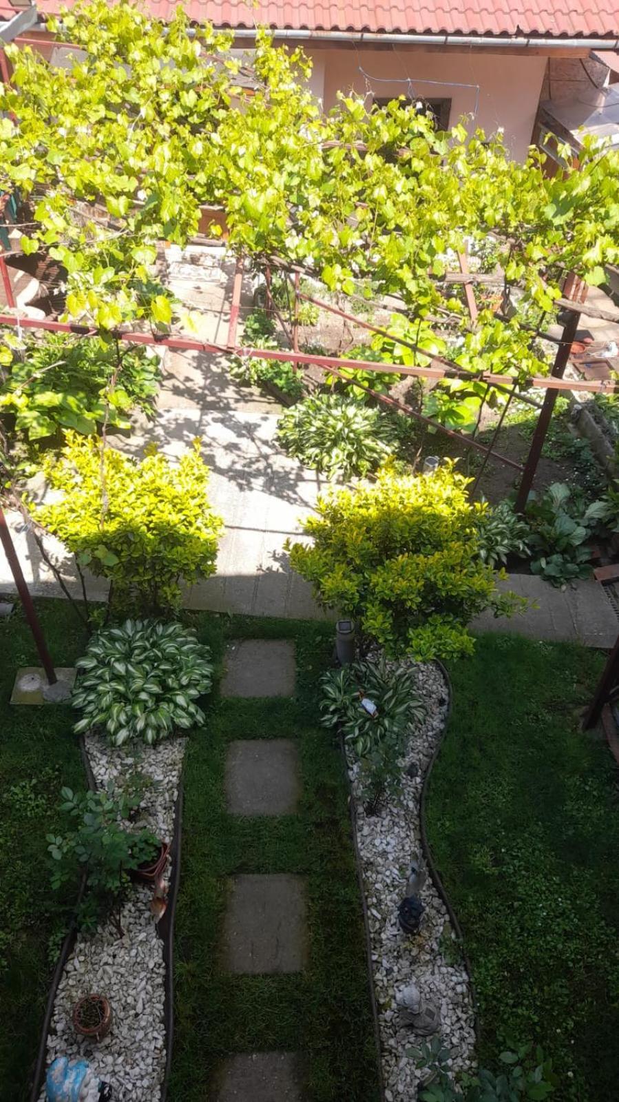מלון Casa Elena Ieşelniţa מראה חיצוני תמונה